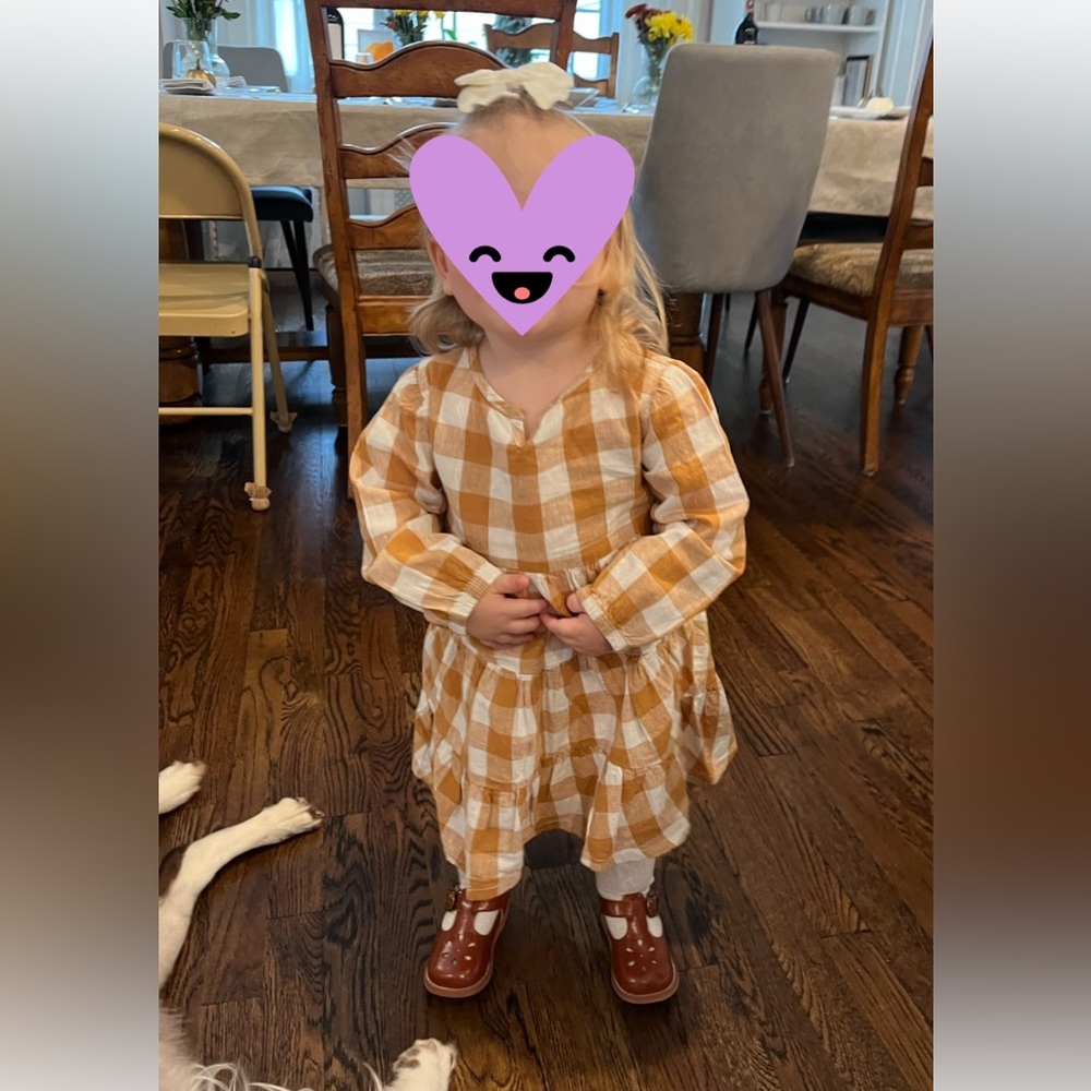 Little Co dress 24M
